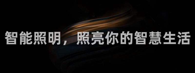 云顶国际物流官网