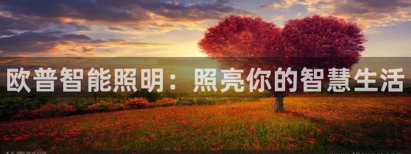 云顶国际大厦在什么地方