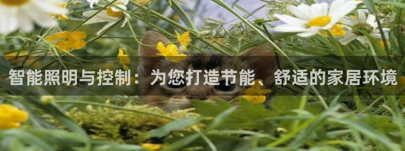 云顶集团有限公司简介地址