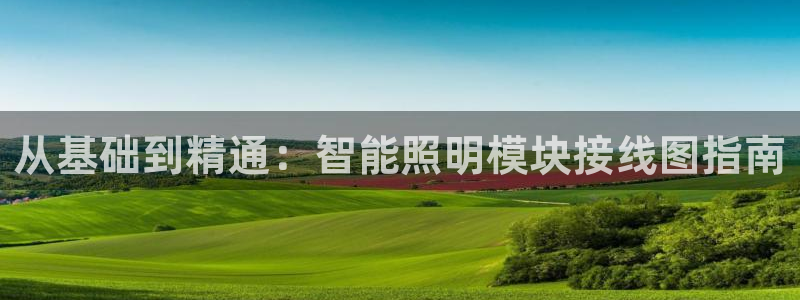 云顶国际城手机网址