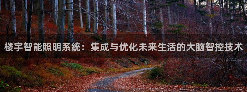 云顶国际软装公司怎么样啊：楼宇智能照明系