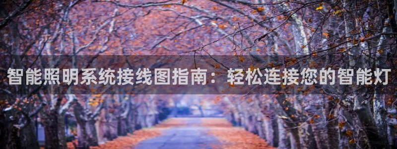 云顶国际培训中心官网：智能照明系统接线图