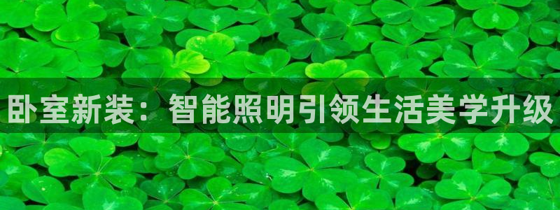 云顶国际提款不到账怎么办：卧室新装：智能