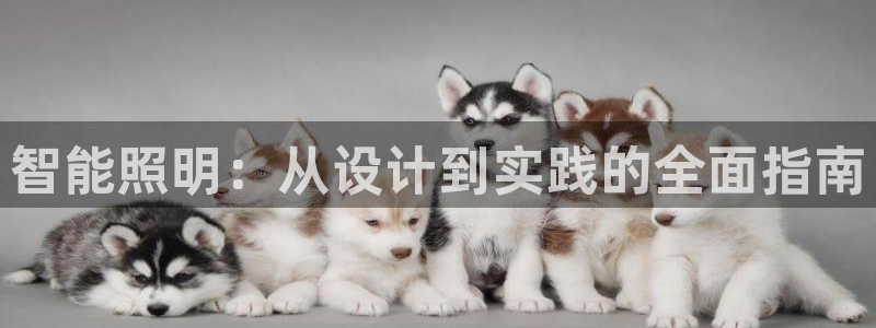 云顶国际服有中文吗：智能照明：从设计到实