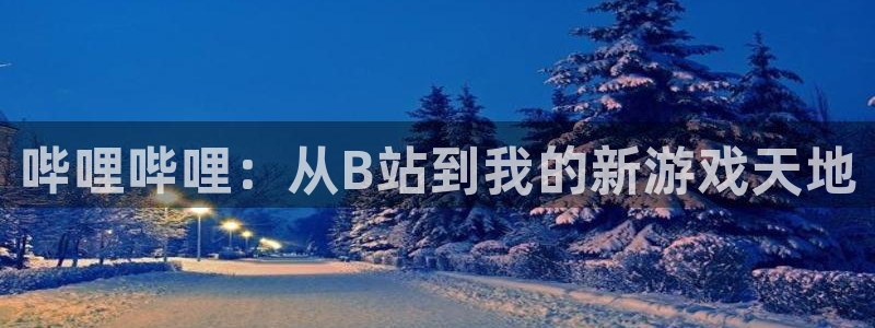 www.yy漫画：哔哩哔哩：从B站到我的新游戏天地